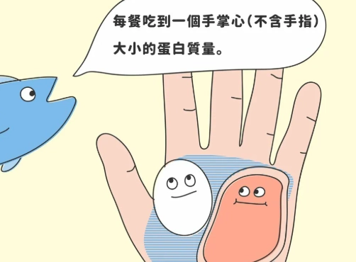 手掌計算蛋白質 手掌計算蛋白質