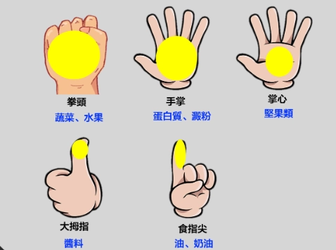 蛋白質手掌測量法 蛋白質手掌測量法