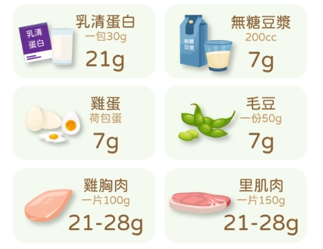蛋白质摄取量 蛋白质摄取量