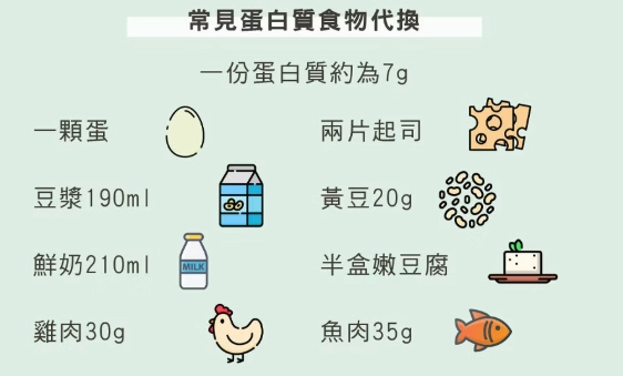 蛋白質攝取量 蛋白質攝取量
