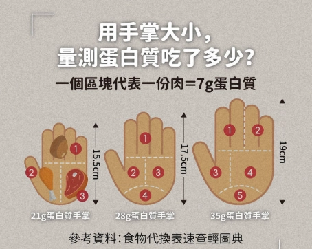 一份蛋白質手掌