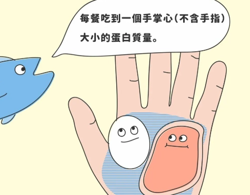 蛋白質攝取量計算 蛋白質攝取量計算