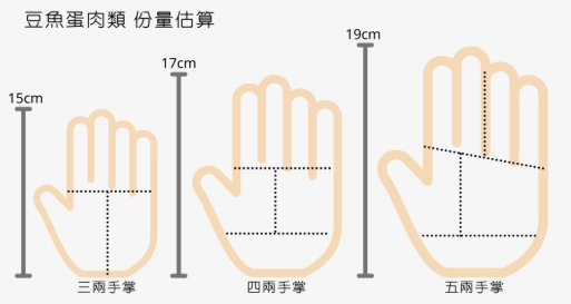 蛋白質攝取量計算 蛋白質攝取量計算