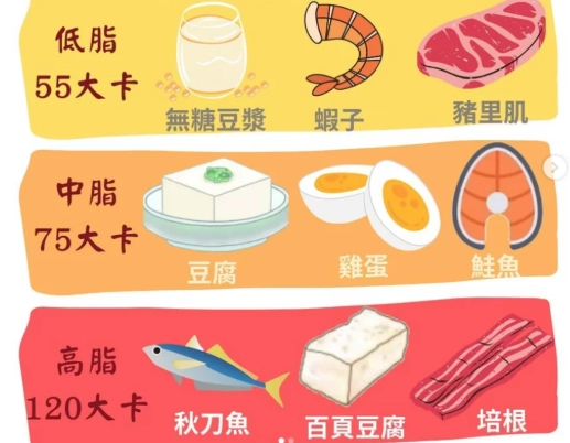 蛋白质摄取量 蛋白质摄取量