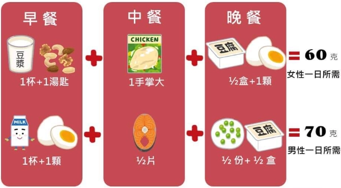 1份蛋白質