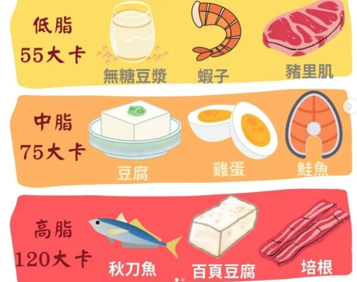 蛋白質攝取時機 蛋白質攝取時機