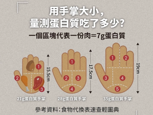 蛋白質手掌計算