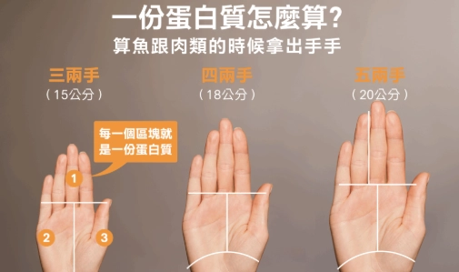 手掌計算蛋白質 手掌計算蛋白質