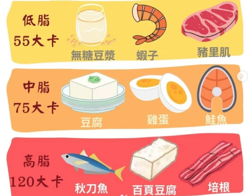 手掌大小蛋白質 手掌大小蛋白質