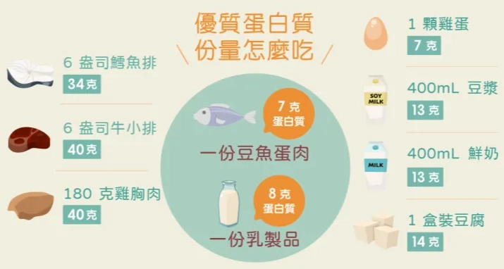 一份蛋白質等於幾克