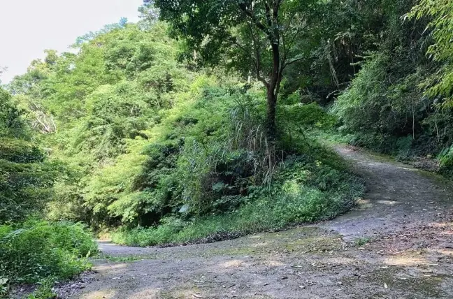 台灣登山停車點