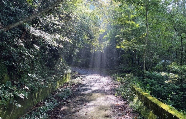 台灣登山停車點