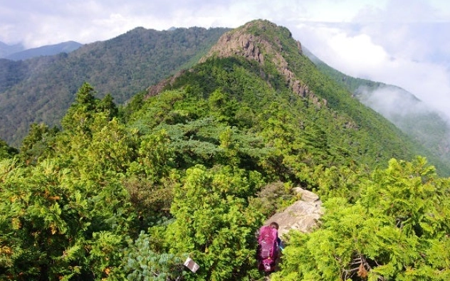 台灣登山步道路線圖 台灣登山步道路線圖