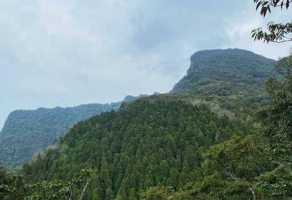 外鳥嘴那結山登山全攻略：路線、交通、裝備與安全須知