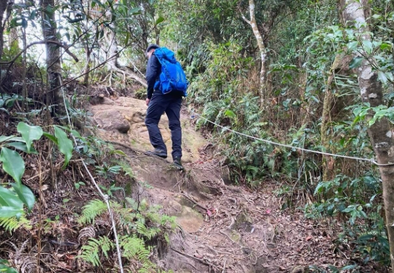 那結山海拔全攻略：登山路線、交通方式與必看景點一次掌握