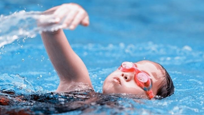 每天游泳 每天游泳