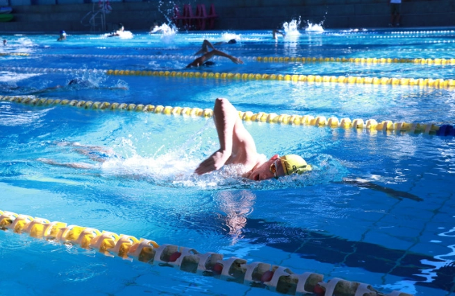 自由式划手訓練 自由式划手訓練