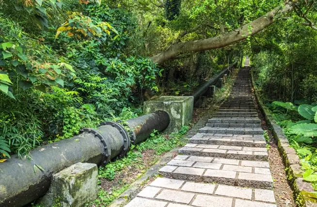 陽明山古道