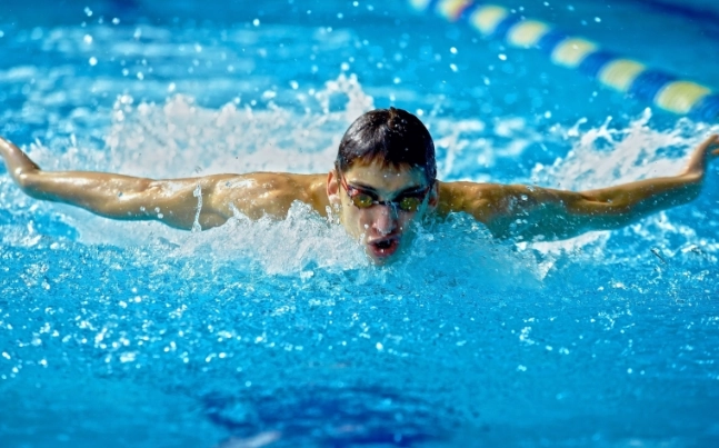 游泳肌群訓練 游泳肌群訓練