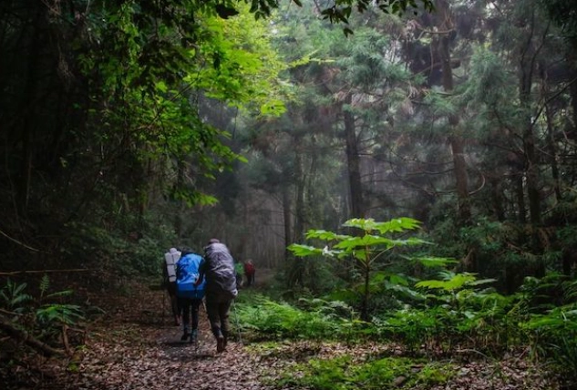 北部古道健行推薦：精選5條入門到進階路線，新手老手都適合