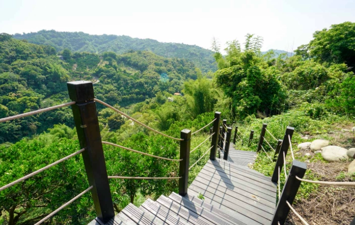 涼爽步道 涼爽步道