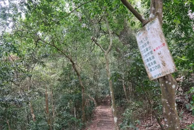 登山步道