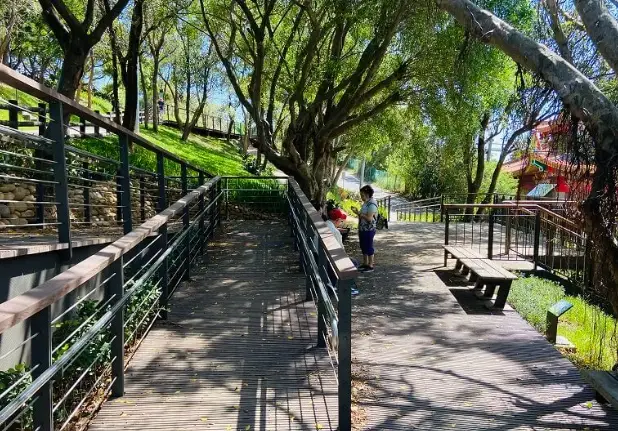 台中銀髮族旅遊