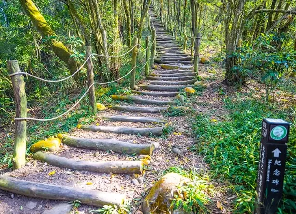 台中銀髮族旅遊