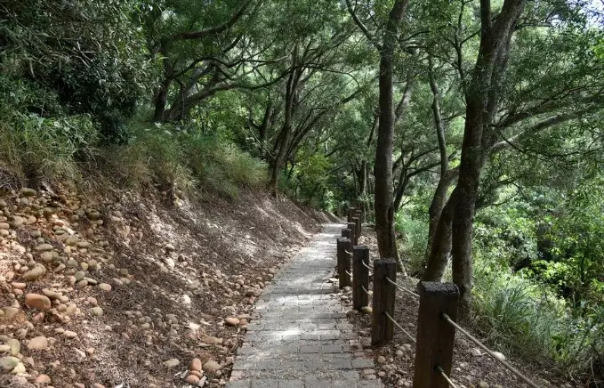 台中親子步道