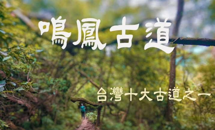 台灣十大古道健行攻略：路線難度、交通與歷史故事一次掌握