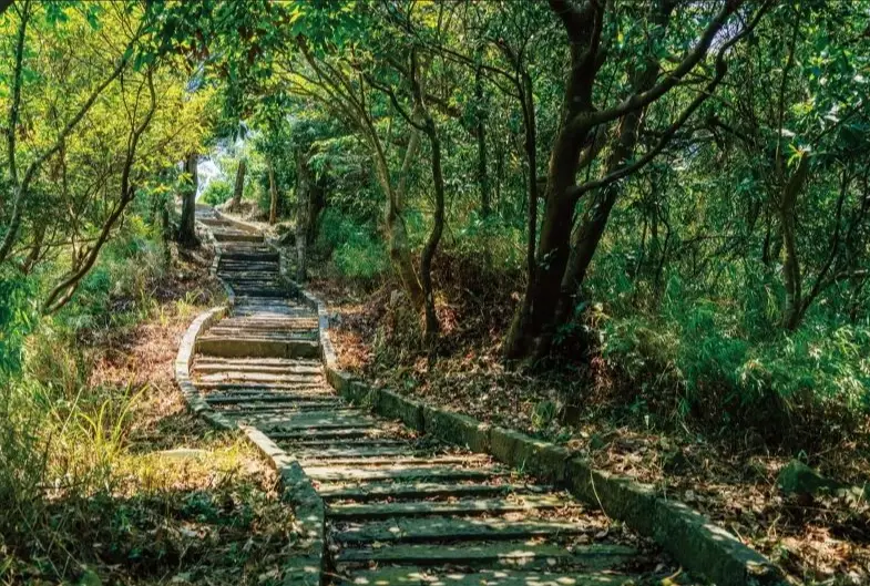 尖山步道攻略｜新手必看！交通、路線、秘境觀景台一次掌握