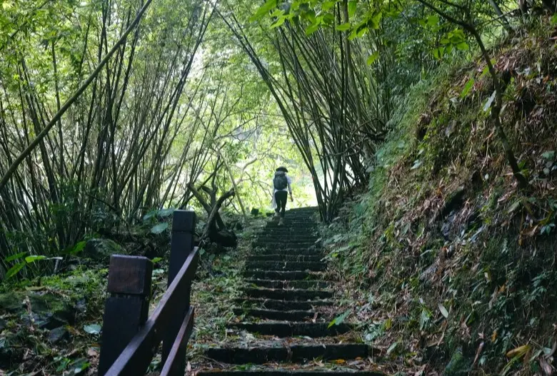 台北步道 台北步道