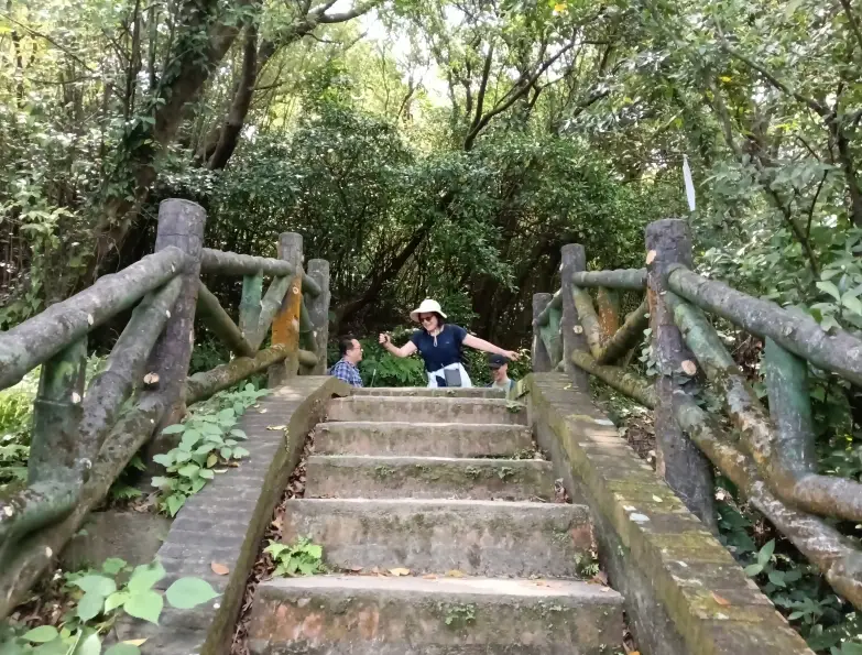 大武崙山登山口全攻略：位置、路線、新手必備資訊一次看