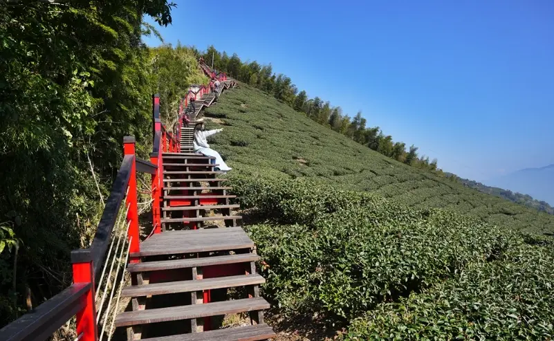 內湖步道 內湖步道