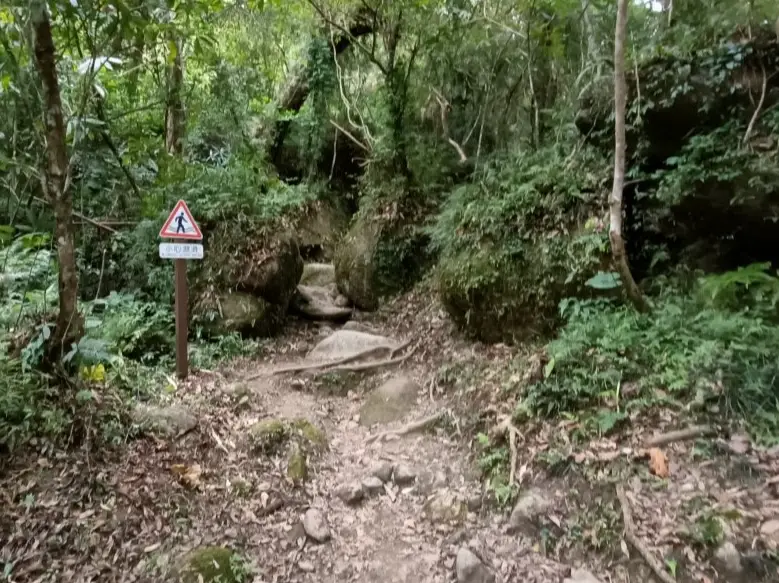 都蘭山登山路線