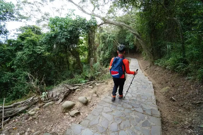 親子登山步道 親子登山步道