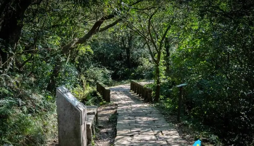 福隆草嶺古道完整攻略：徒步路線、交通與實用貼士