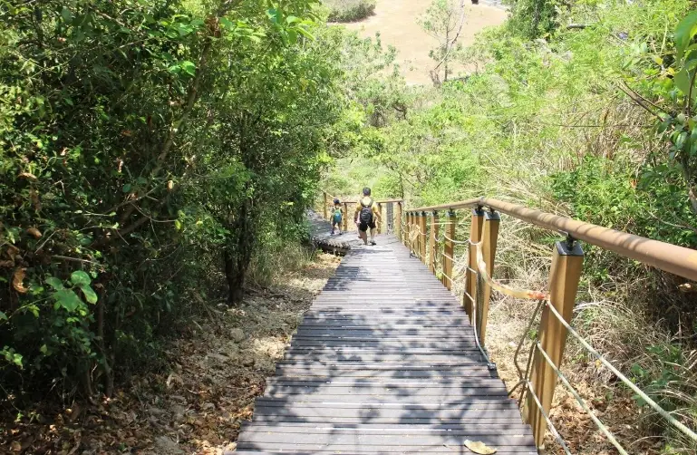 高雄爬山步道 親子