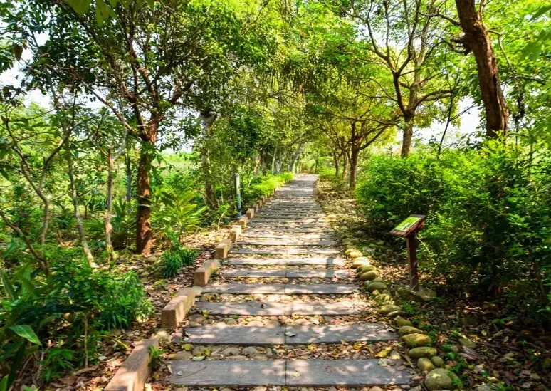 南寮登山步道美食 南寮登山步道美食