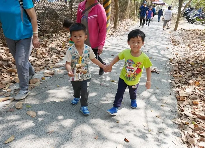 高雄親子爬山步道全攻略：安全路線、生態觀察與實用貼士