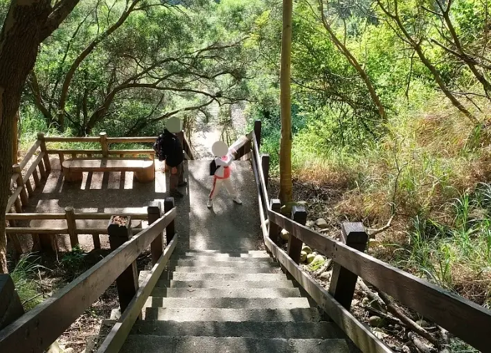 竹坑南寮登山古道停車場攻略：停車資訊、步道路線與避開人潮秘訣