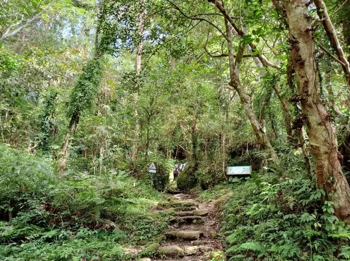 都蘭山步道登山口全攻略：位置、交通與新手必讀指南
