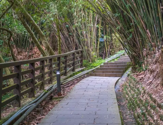 楓櫃斗湖步道停車攻略：完整交通指南與免費停車位實測分享