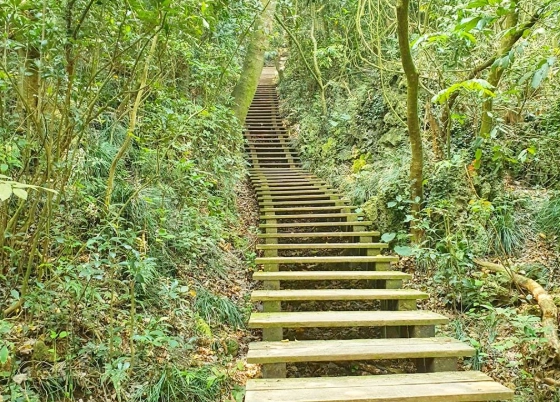 高雄私房步道