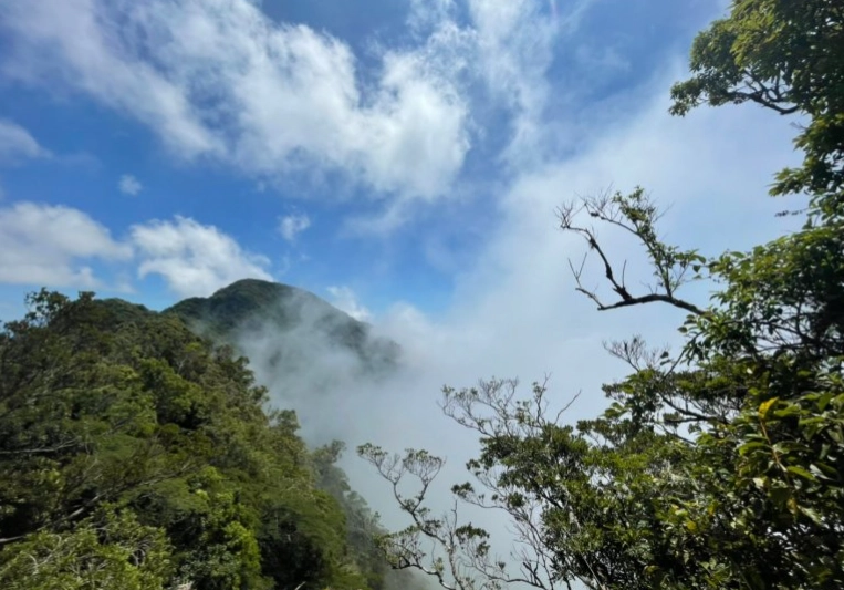 都蘭山登山口攻略｜新手也能輕鬆登頂，360度海岸線盡收眼底