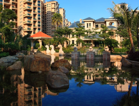 阿里山二萬坪怎麼去