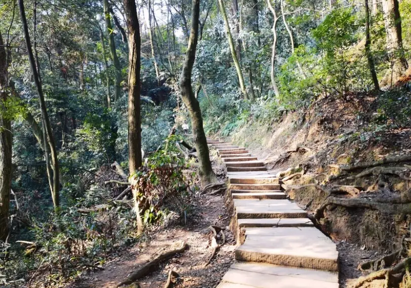 十二寮登山步道停車全攻略：位置、費用與避開人潮秘訣