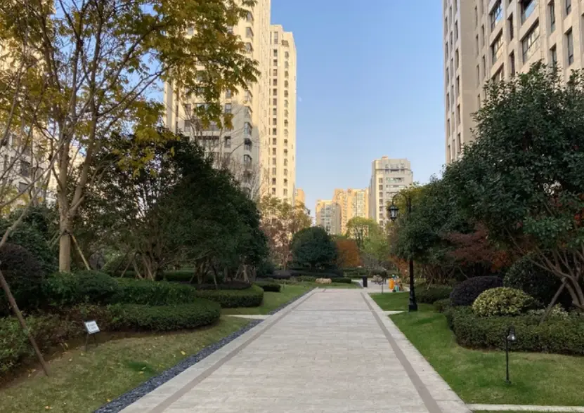 二萬坪怎麼去？阿里山交通全攻略、路線規劃與觀日秘訣