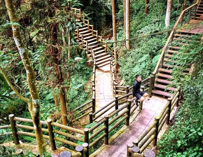 嘉義爬山新手入門指南：安全路線、裝備建議與常見問題解答