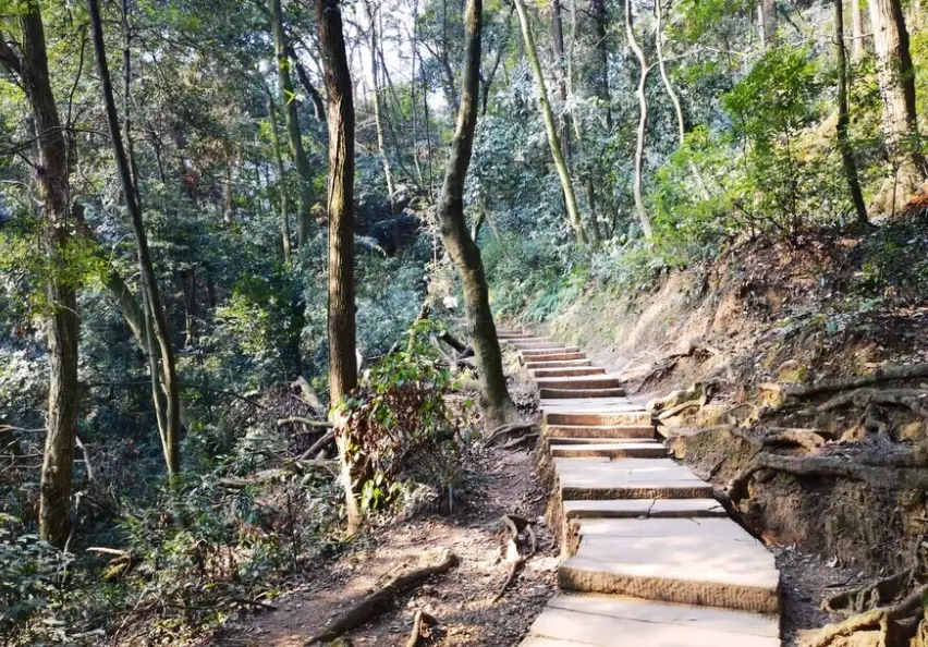 高雄登山步道推薦：新手到高手都愛的10條路線攻略